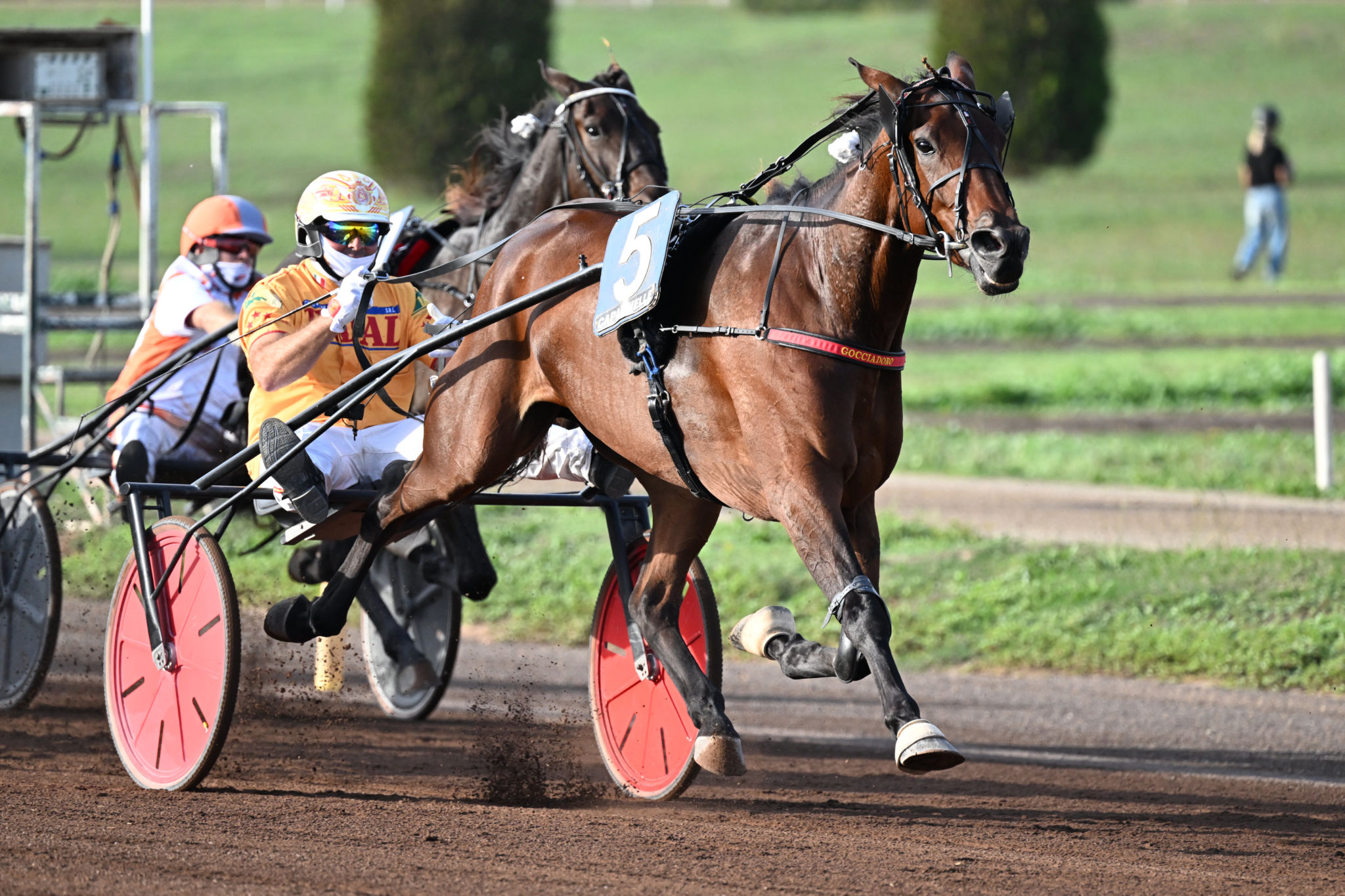 i-partenti-del-gran-premio-paolo-orsino-e-orsi-mangelli-filly-2022